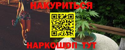 прущие крисы Малгобек