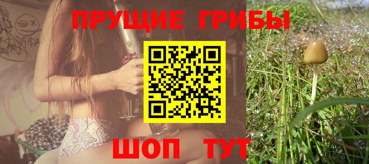 Псилоцибиновые грибы Psilocybe Холмск